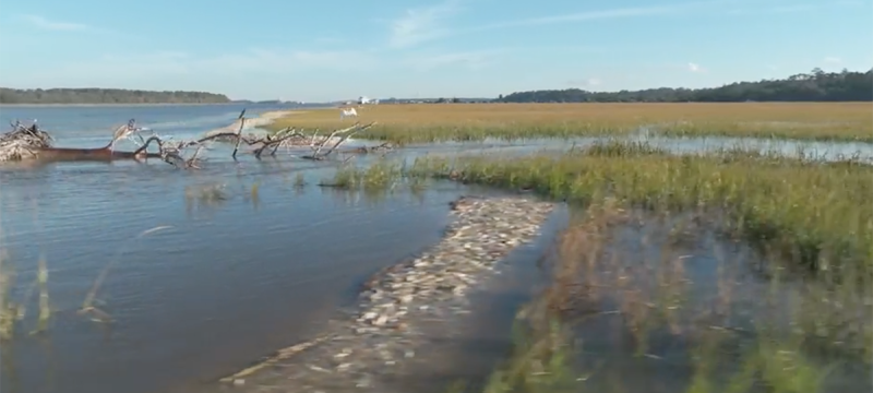 photo of water, reef, and marsh, day