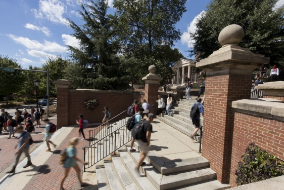 photo of people walking up steps, sunny day